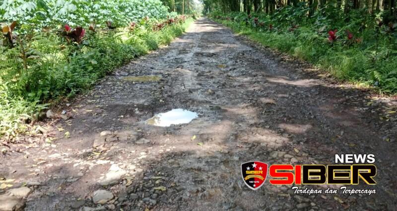 Menjelang Pelaksanaan Even Ambasador Goes To Kampung KB Banyuwangi, Sepanjang 500 Meter Jalan Utama Rusak&nbsp;Parah