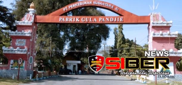 PG Pandjie Situbondo Tanggapi Berita Viral Diduga Air Limbah, Asmen Teknik: Itu Air Bercampur Tolato Bukan Limbah Berbahayap