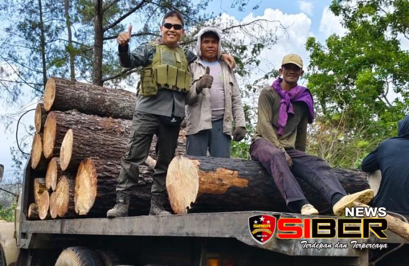 ADM KPH Bondowoso Tinjau Langsung ke Lokasi Tebang Habis Pohon Pinus Dipetak 27N-1 RPH Wringin&nbsp;Tapung